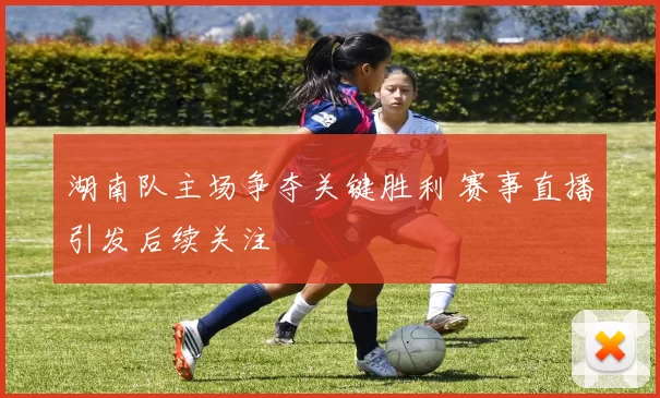 湖南队主场争夺关键胜利 赛事直播引发后续关注