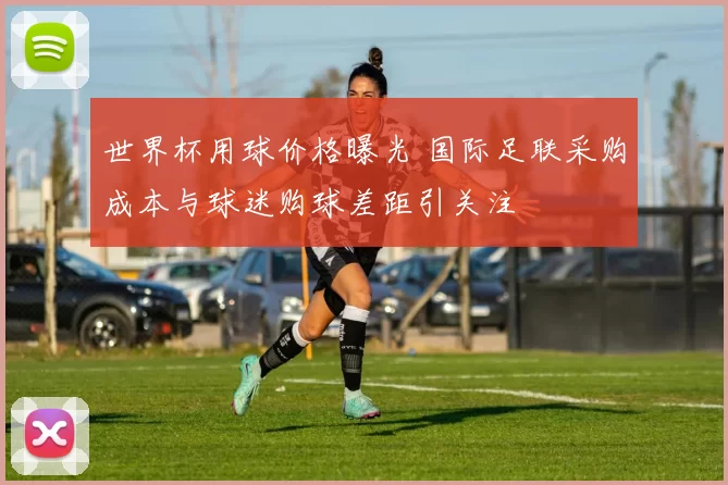 世界杯用球价格曝光 国际足联采购成本与球迷购球差距引关注