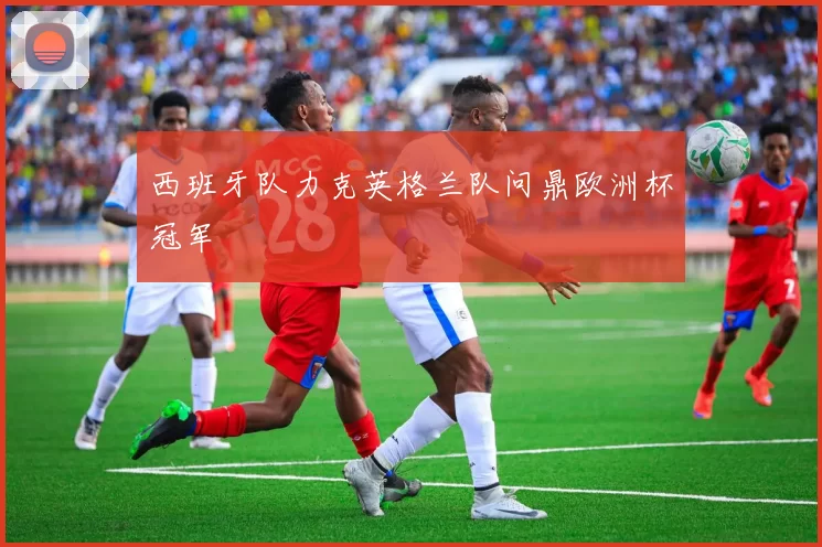 西班牙队力克英格兰队问鼎欧洲杯冠军