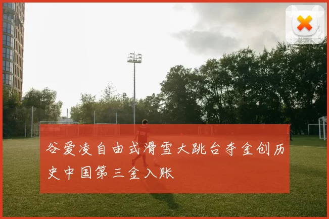 谷爱凌自由式滑雪大跳台夺金创历史中国第三金入账