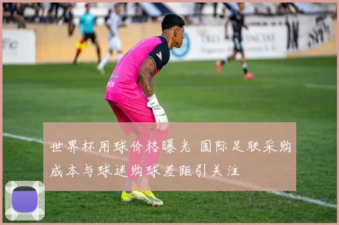 世界杯用球价格曝光 国际足联采购成本与球迷购球差距引关注