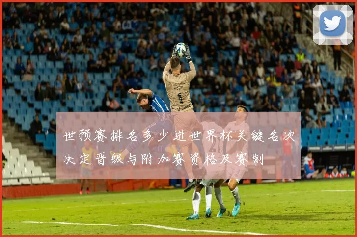 世预赛排名多少进世界杯关键名次决定晋级与附加赛资格及赛制