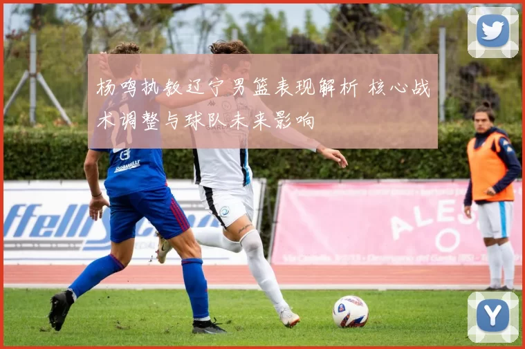 杨鸣执教辽宁男篮表现解析 核心战术调整与球队未来影响