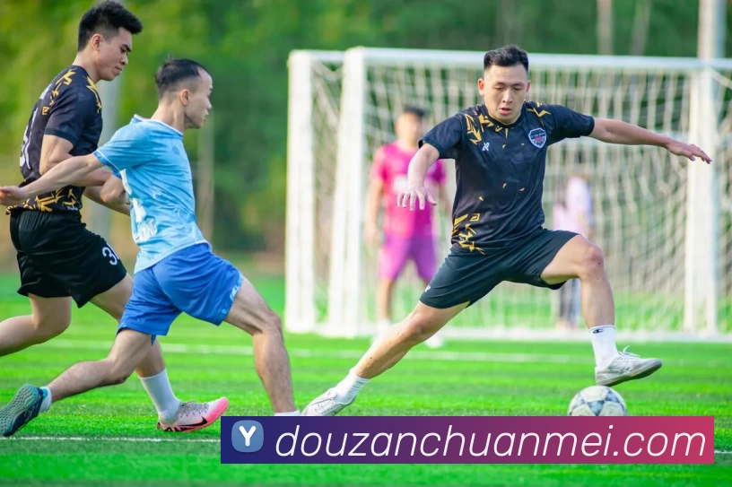 米兰app官网入口 - 米兰milan(中国)发展历程